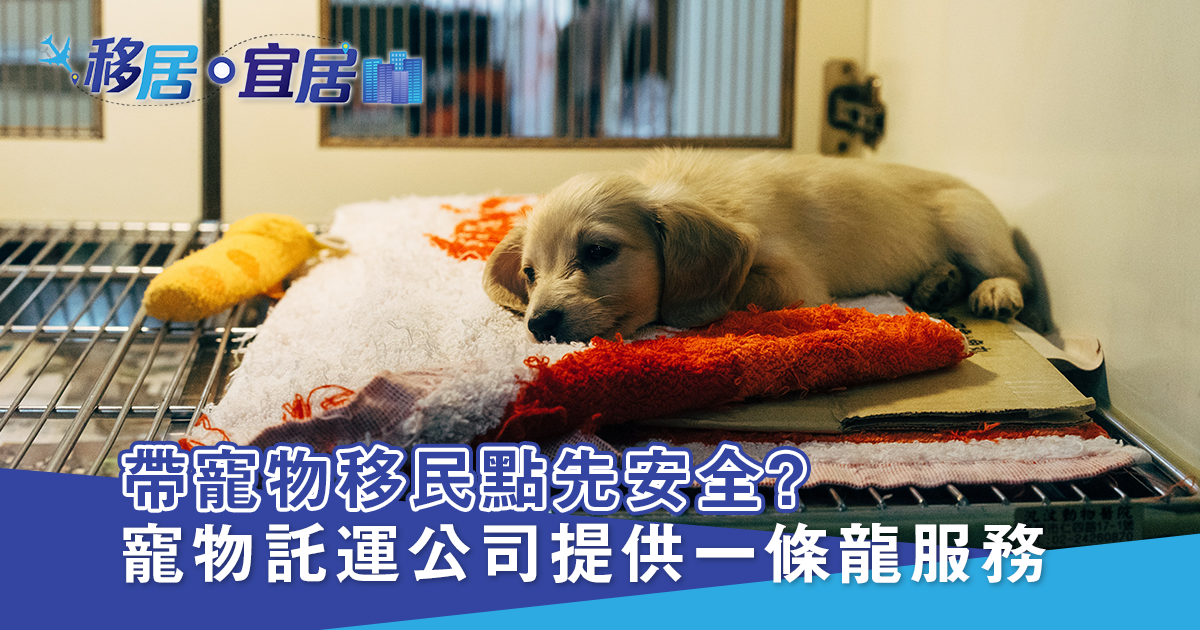 灣區寵物託運 流程貼士大公開（下）