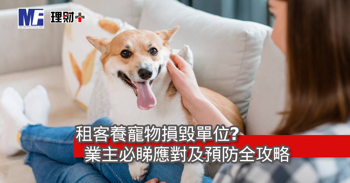 租客養寵物損毀單位？業主必睇應對及預防全攻略